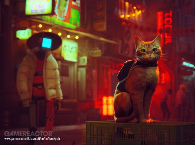 Stray