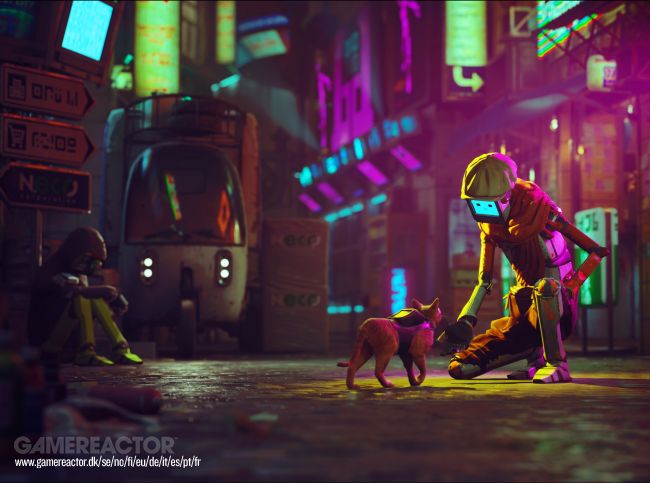 Stray
