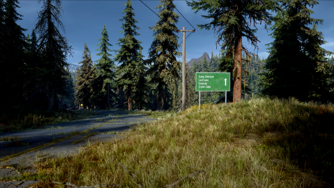 Days Gone