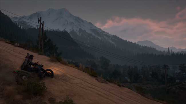 Days Gone
