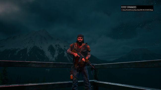 Days Gone
