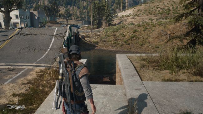 Days Gone