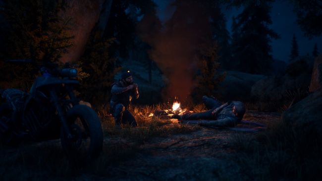 Days Gone