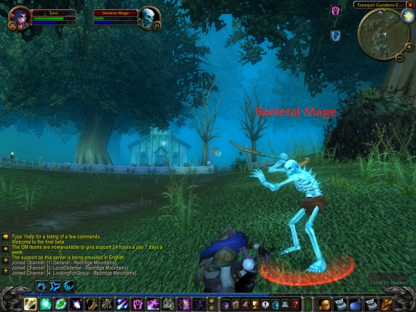 World of Warcraft