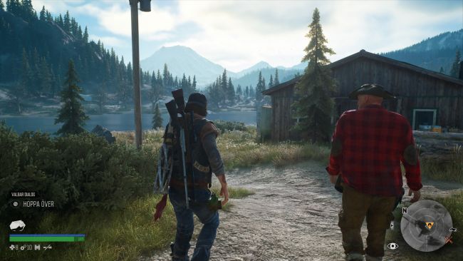 Days Gone