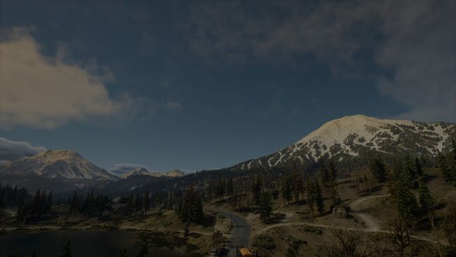 Days Gone