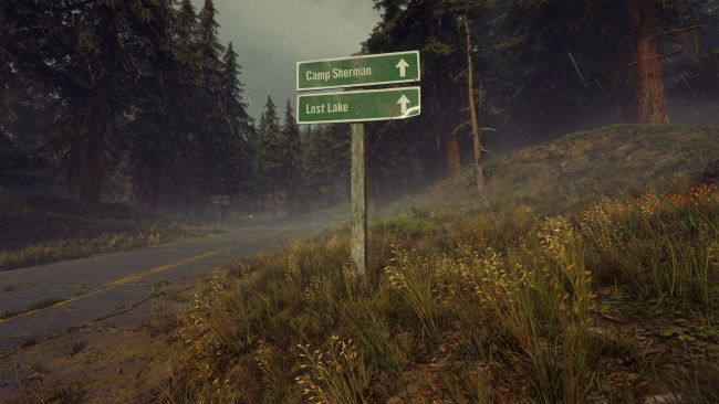 Days Gone