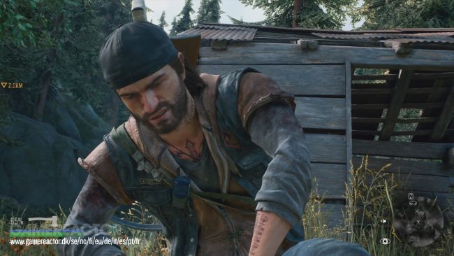 Days Gone