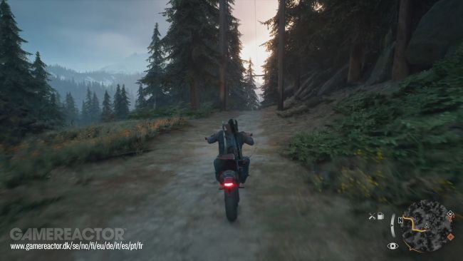 Days Gone