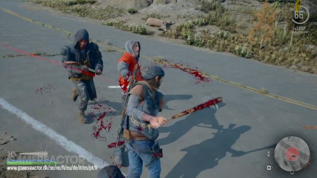 Days Gone