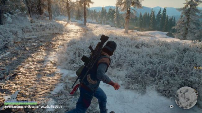 Days Gone