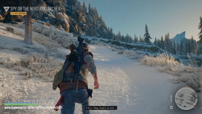 Days Gone