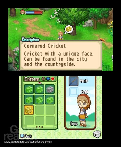 Harvest Moon: The Tale of Two Towns