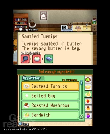 Harvest Moon: The Tale of Two Towns