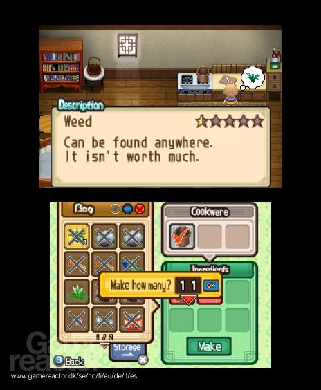 Harvest Moon: The Tale of Two Towns