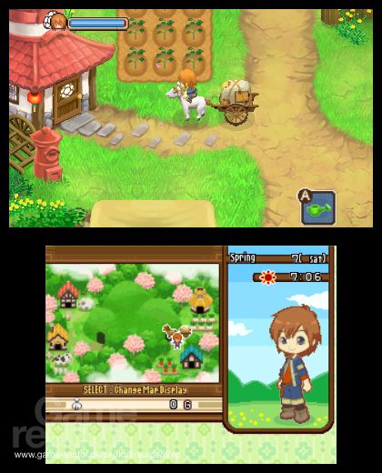 Harvest Moon: The Tale of Two Towns