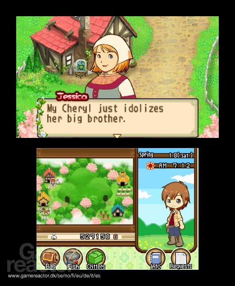 Harvest Moon: The Tale of Two Towns