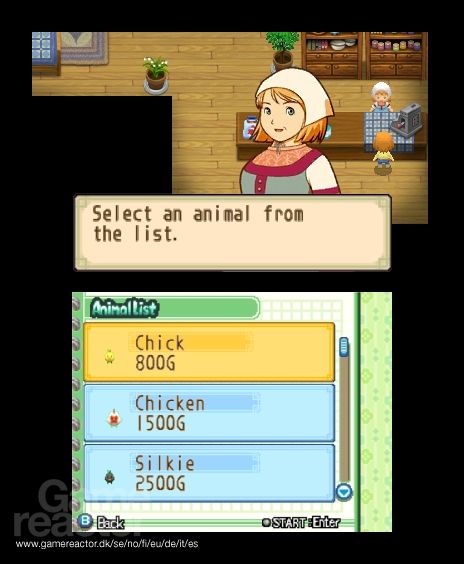 Harvest Moon: The Tale of Two Towns