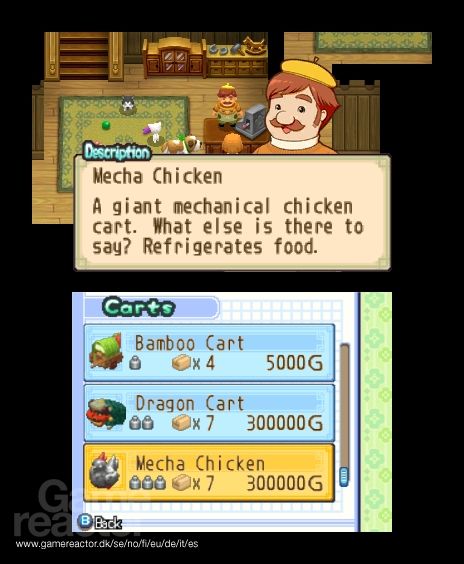 Harvest Moon: The Tale of Two Towns