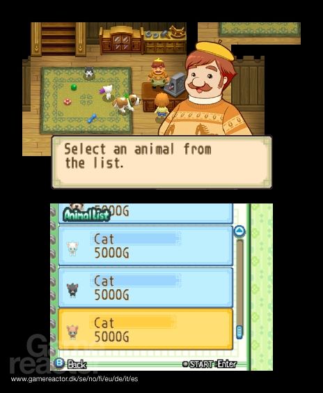 Harvest Moon: The Tale of Two Towns