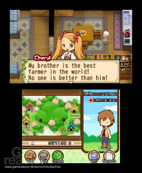 Harvest Moon: The Tale of Two Towns