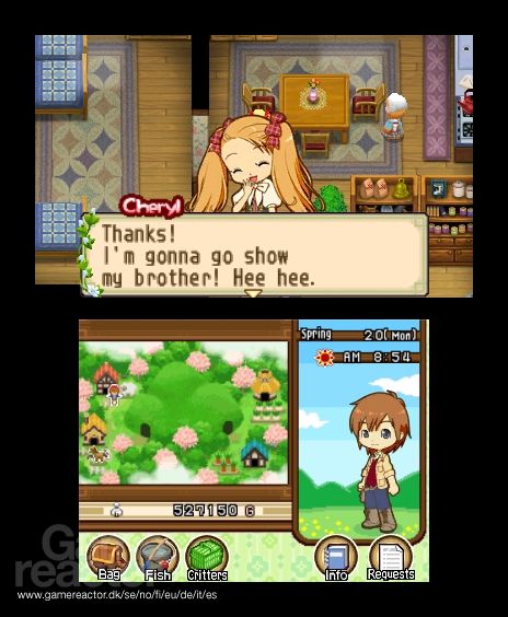 Harvest Moon: The Tale of Two Towns