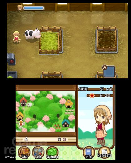Harvest Moon: The Tale of Two Towns