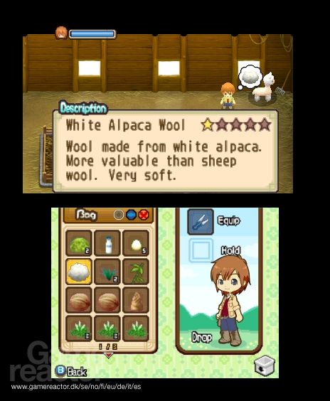 Harvest Moon: The Tale of Two Towns