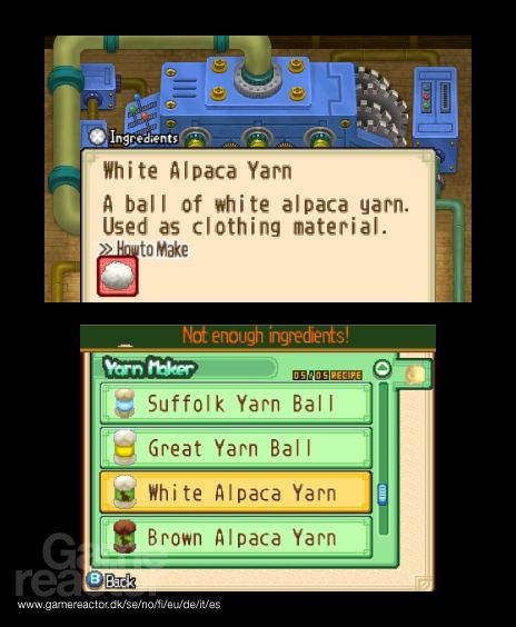 Harvest Moon: The Tale of Two Towns
