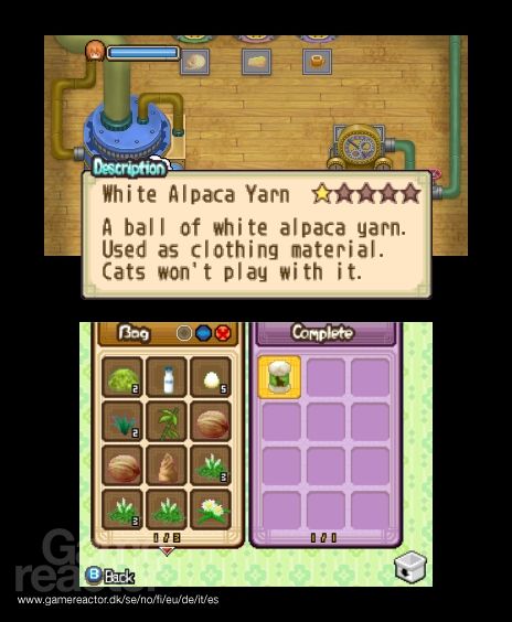 Harvest Moon: The Tale of Two Towns
