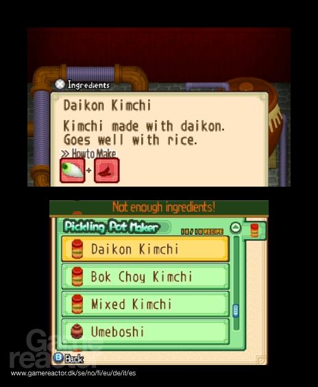 Harvest Moon: The Tale of Two Towns