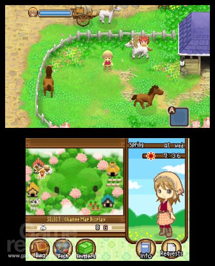 Harvest Moon: The Tale of Two Towns