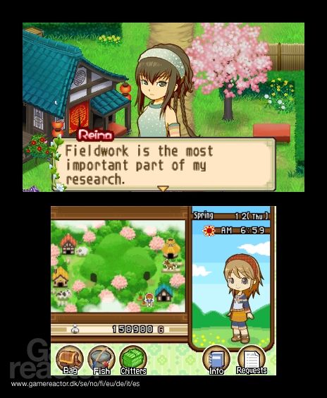 Harvest Moon: The Tale of Two Towns