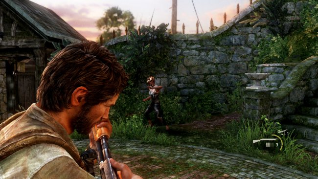 The Last of Us