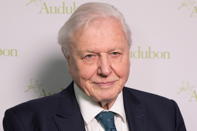 Sir David Attenborough får "överväldigande" födelsedagsmeddelanden när han fyller 100