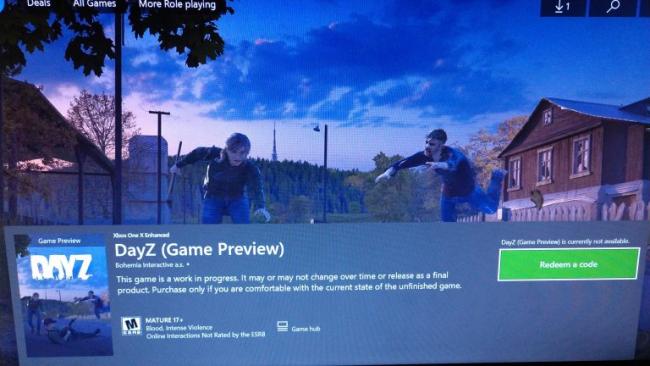 DayZ