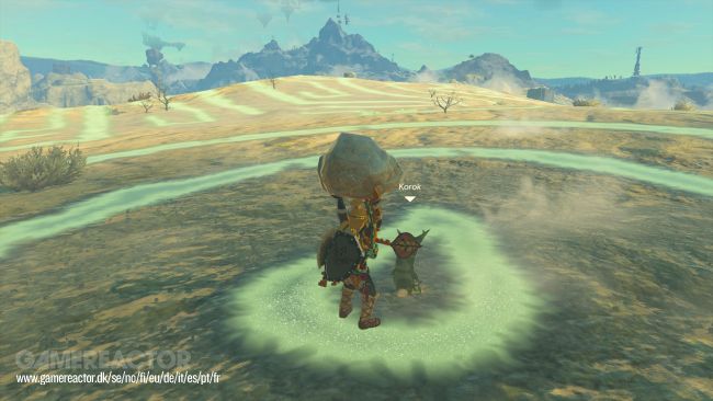 The Legend of Zelda: Tears of the Kingdom