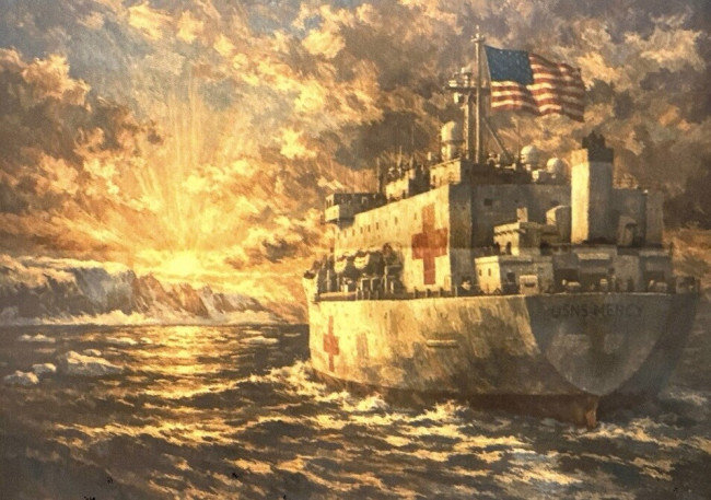 Trump erbjuder sjukhusfartyg till Grönland, men Grönlands premiärminister säger "nej tack"