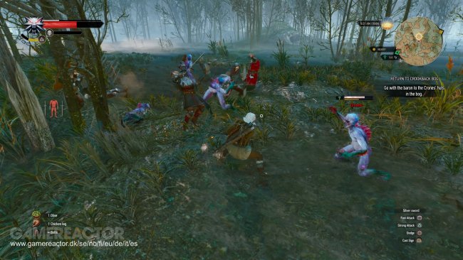 The Witcher 3: Wild Hunt