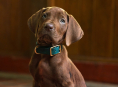 Scooby-Doo spelas av en riktig hund i Netflix TV-serie