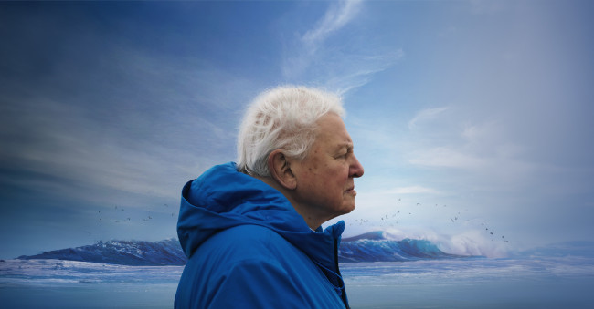 Lego firar David Attenborough's 100-årsdag på finaste vis