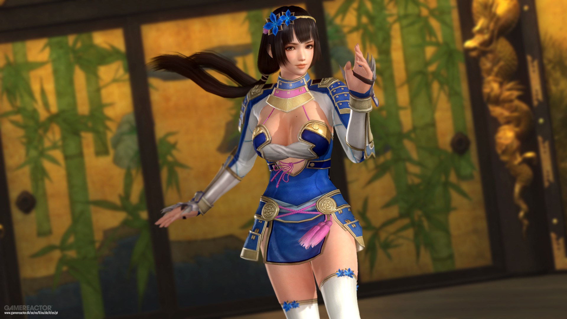 Dead or Alive 5: Last Round