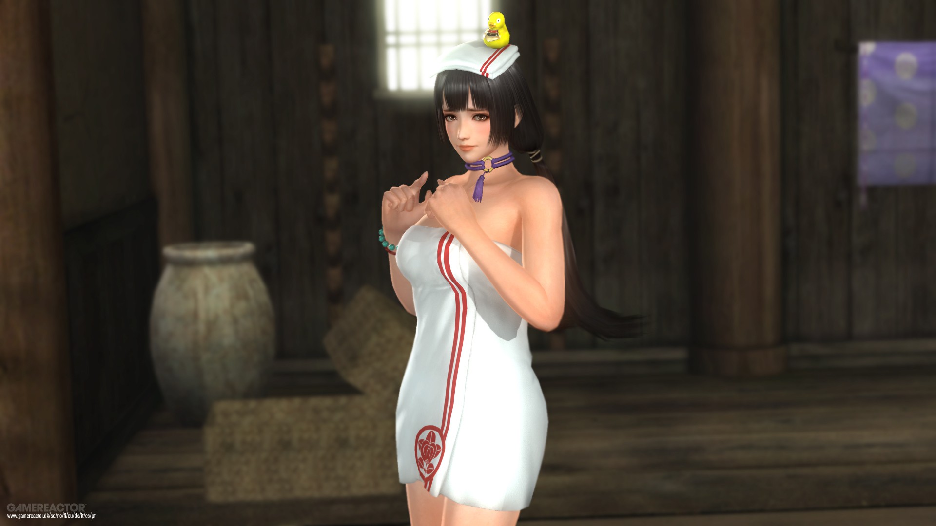 Dead or Alive 5: Last Round