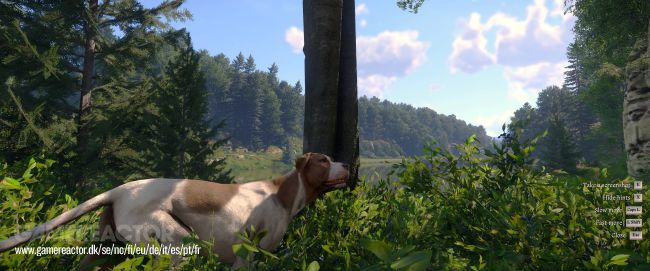 Kingdom Come: Deliverance II