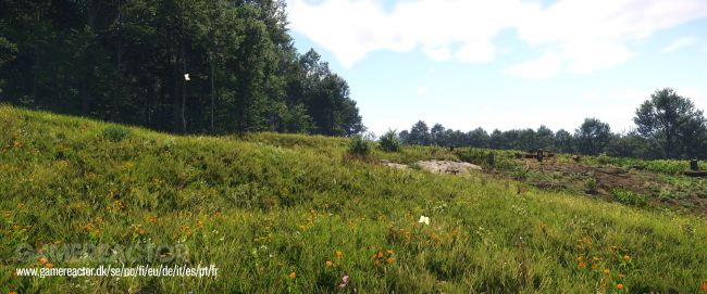 Kingdom Come: Deliverance II