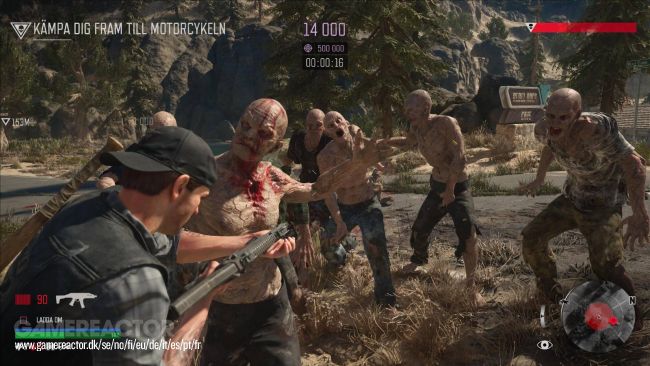 Days Gone