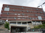 Franskt sjukhus evakuerat efter artillerigranat fr&aring;n f&ouml;rsta v&auml;rldskriget hittat i patientens &auml;ndtarm under operation