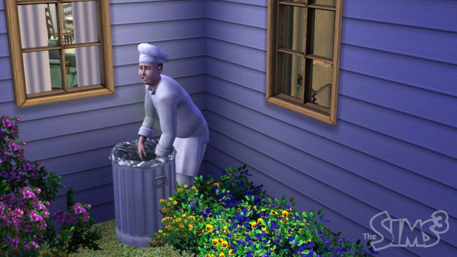The Sims 3
