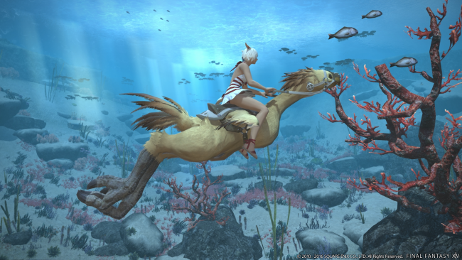 Final Fantasy XIV: A Realm Reborn