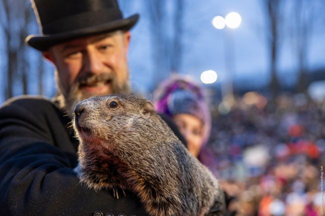 Punxsutawney Phil förutspår ytterligare sex veckor av vinter på Groundhog Day